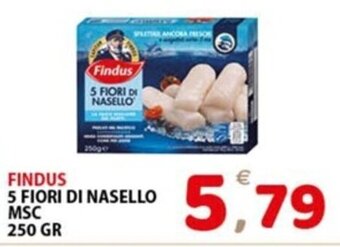 Premium Supermercati FINDUS 5 FIORI DI NASELLO MSC 250 GR offerta