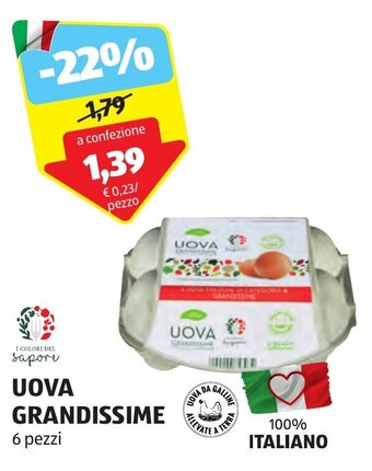 ALDI UOVA GRANDISSIME 6 pezzi offerta