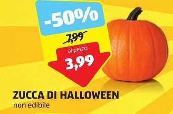 ALDI ZUCCA DI HALLOWEEN non edibile offerta