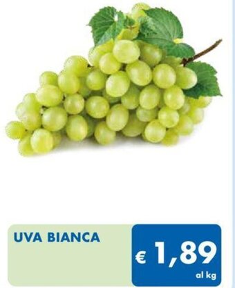 MD Discount UVA BIANCA offerta
