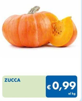 MD Discount ZUCCA offerta