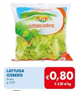 LATTUGA ICEBERG busta g 250