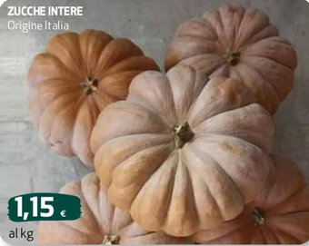 ZUCCHE INTERE