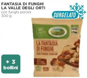 Coop FANTASIA DI FUNGHI LA VALLE DEGLI ORTI con funghi porcini 300 g offerta