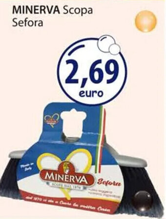 Acqua & Sapone MINERVA Scopa Sefora offerta