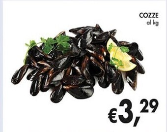 Coal Cozze offerta