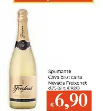 Galassia Freixenet Spumante Cava Brutcarta Nevada offerta
