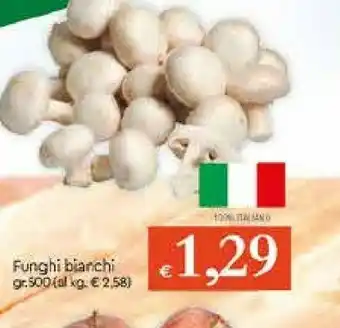 Galassia Funghi Biarchi offerta