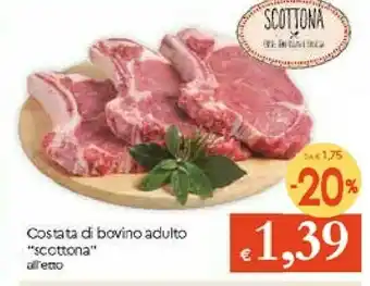 Galassia Costata Di Bovino Adulto Scottona offerta