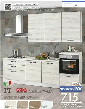 Eucalipto Bianco Tutte Le Misure