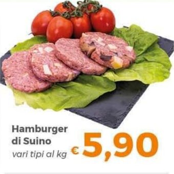 Tocal Hamburger di Suino offerta