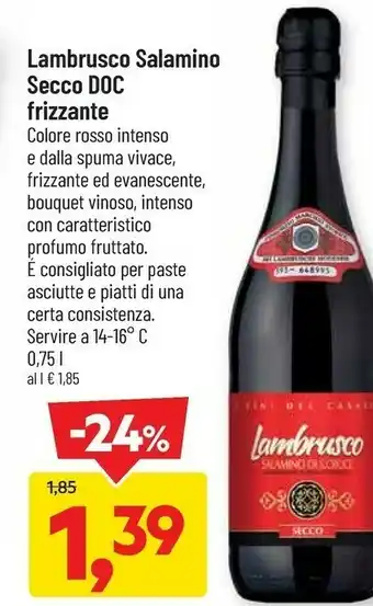 DPiù Lambrusco Salamino Secco Doc Frizzante offerta