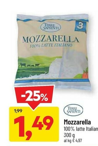 DPiù Terre Sapienti Mozzarella 100% Latte Italiano 300 G offerta