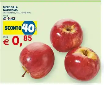 Esselunga Naturama Mele Gala offerta