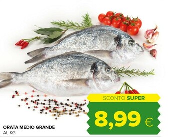 Orata Medio Grande