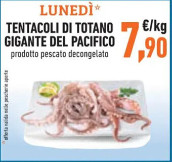 Conad TENTACOLI DI TOTANO GIGANTE DEL PACIFICO offerta