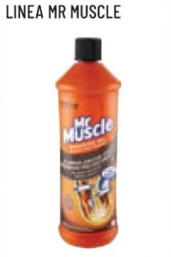 Conad LINEA MR MUSCLE offerta