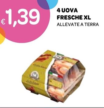 Ekom 4 UOVA FRESCHE XL ALLEVATE A TERRA offerta