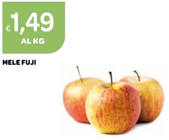 Ekom MELE FUJI offerta