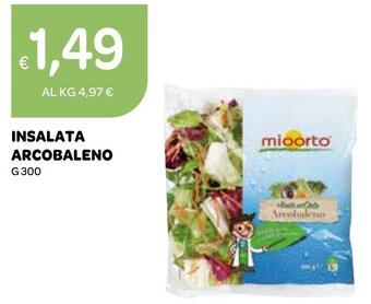 Ekom INSALATA ARCOBALENO G 300 offerta