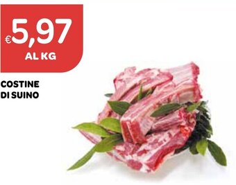 Ekom COSTINE DI SUINO offerta