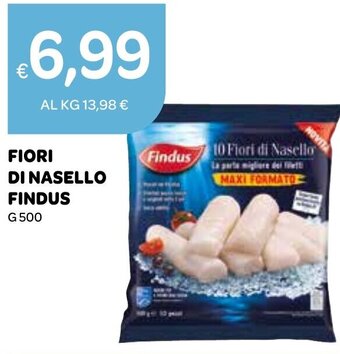 Ekom FIORI DI NASELLO FINDUS G 500 offerta