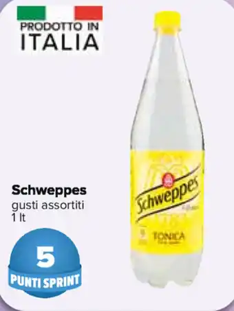 Carrefour Schweppes 1lt offerta