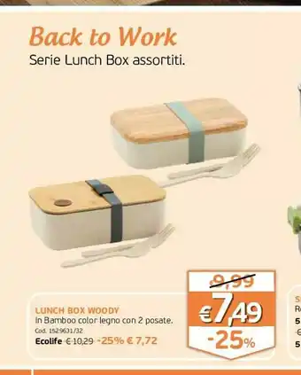Lunch Box Woody