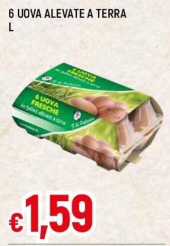 Famila 6 UOVA ALEVATE A TERRA L offerta