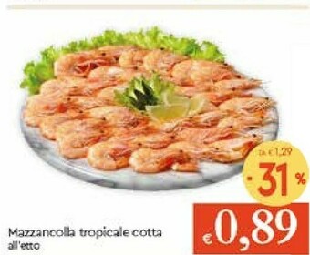 Galassia Mazzancolla Tropicale Cotta offerta