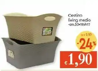 Cestino Living Medio