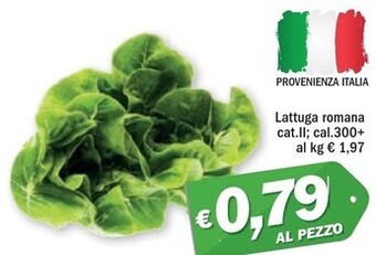 Lattuga romana