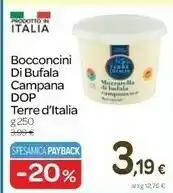 Carrefour Terre D'Italia - Mozzarella Di Bufala Campana offerta
