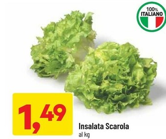 DPiù Insalata Scarola offerta