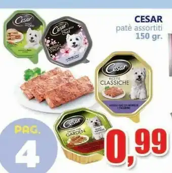 Cesar Pate Assortiti