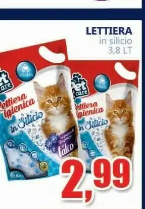 Lettiera In Silicio