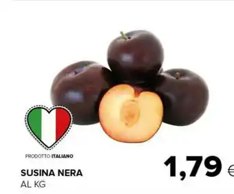 Tigre Susina Nera offerta