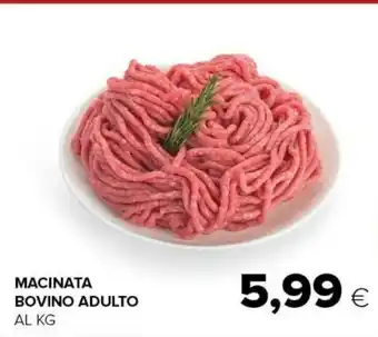 Tigre Macinata Bovino Adulto offerta