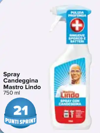 Carrefour Mastro Lindo Candeggina Spray 750ml offerta