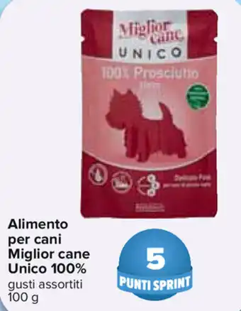 Carrefour Miglior Cane Unico 100% Alimento per cani 100g offerta