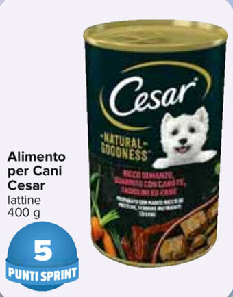 Carrefour Cesar Alimento per Cani 400g offerta