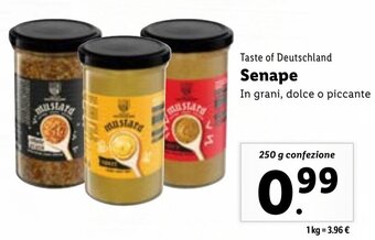 Taste of Deutschland Senape 250 g confezione