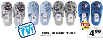 Lidl Pantofole da bambini "Disney" 25-30 offerta