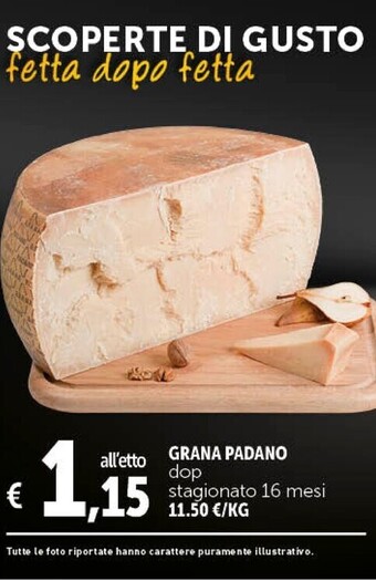 Gourmet Déco Grana padano dop offerta