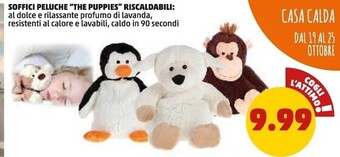 PENNY Soffici peluche the puppies riscaldabili offerta