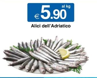 Sì con te Alici dell'Adriatico offerta