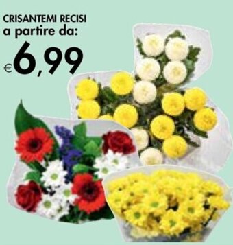 Bennet CRISANTEMI RECISI a partire da: offerta