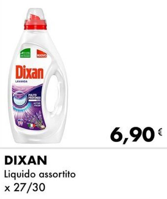 DIXAN Liquido assortito x 27/30