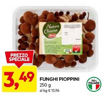 DPiù FUNGHI PIOPPINI 250 g offerta