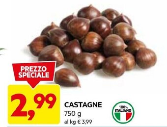 DPiù CASTAGNE 750 G offerta